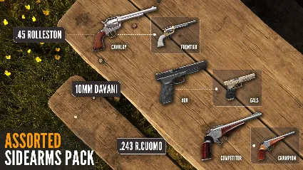 theHunter: Call of the Wild™ - Assorted Sidearms Pack DLC