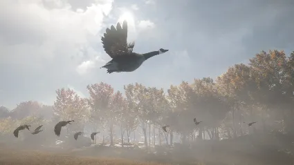 theHunter: Call of the Wild™ - Wild Goose Chase Gear DLC