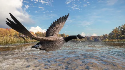 theHunter: Call of the Wild™ - Wild Goose Chase Gear DLC