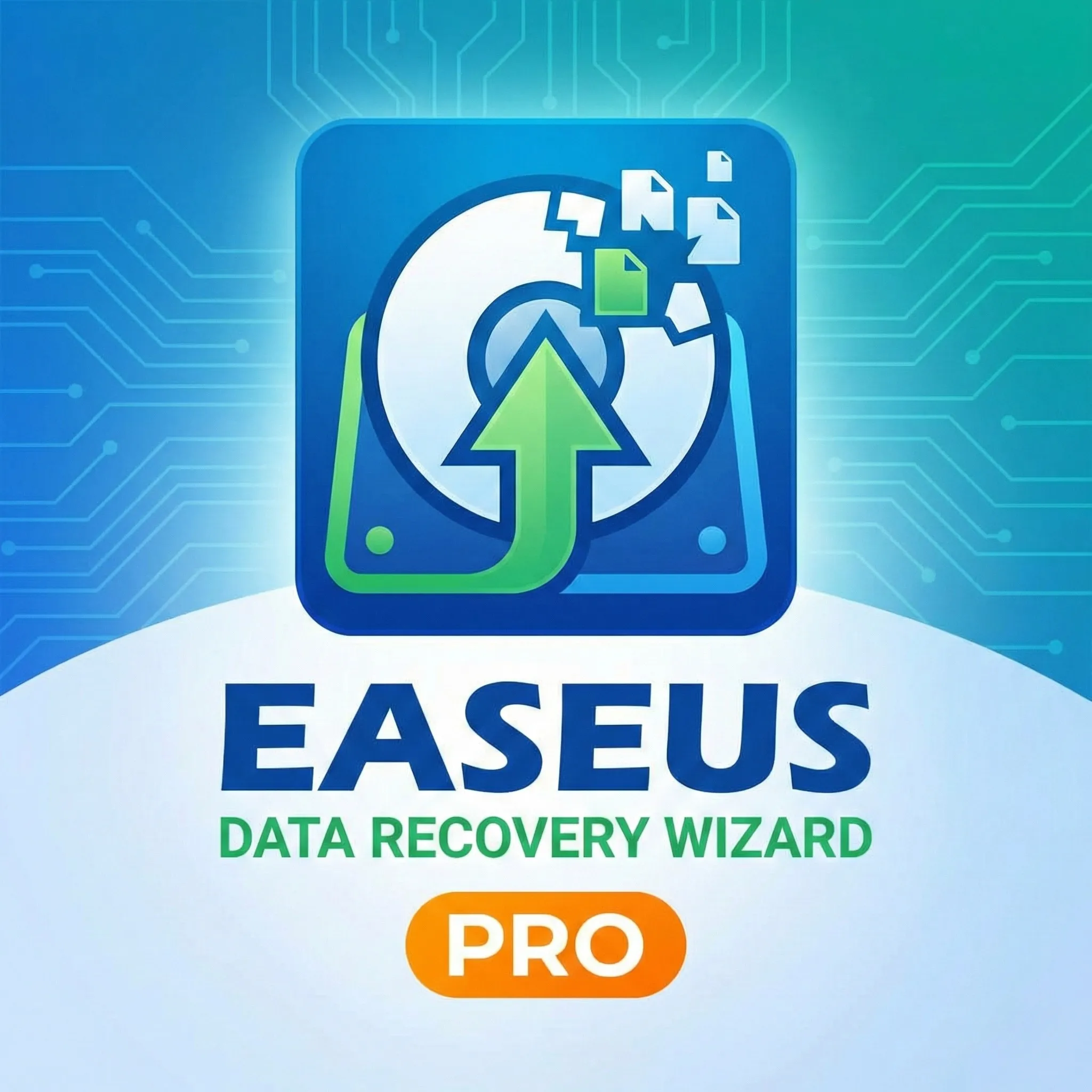 Ключ активации EaseUS Data Recovery Wizard Pro