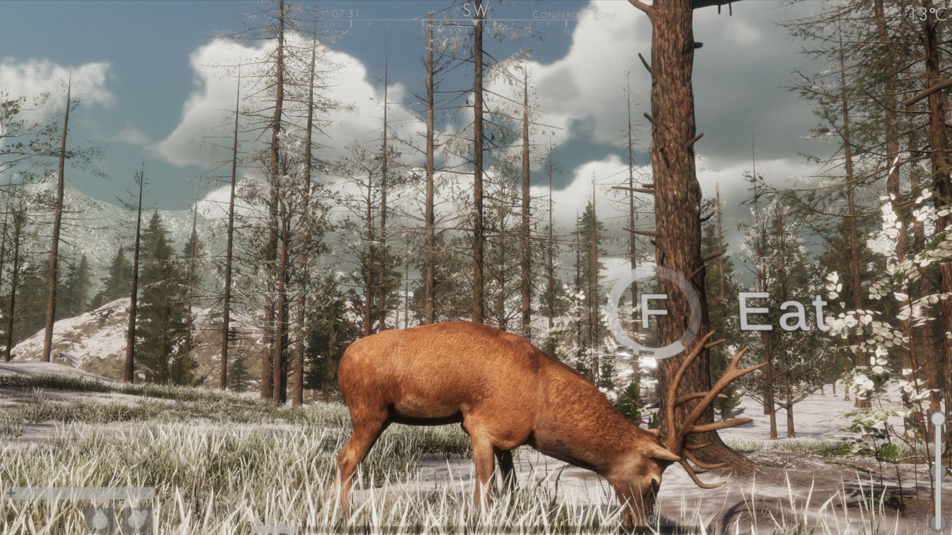 The wilds. Wild игра. Wild. JC Wilds