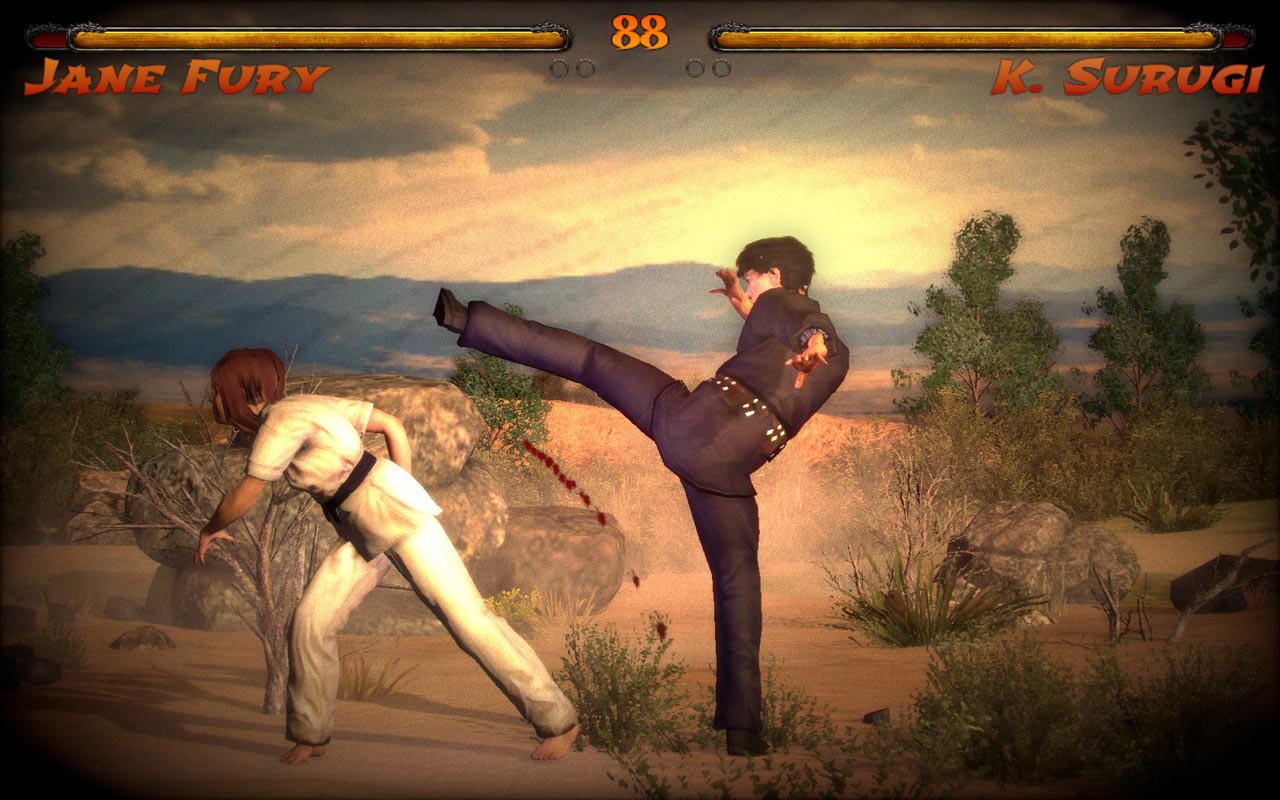 Kung fu код активации. Kings of kung fu. старая игра про кунг фу на пк. gi игру. жанр игр ган-фу.